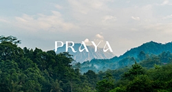 Property for Sale Inquiry